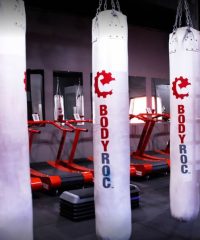 BODYROC Fit Lab